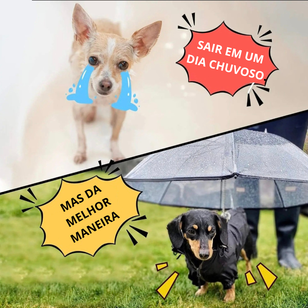 Guarda Chuvas Impermeável Ajustável para Cães Pequenos - O Chico Tem