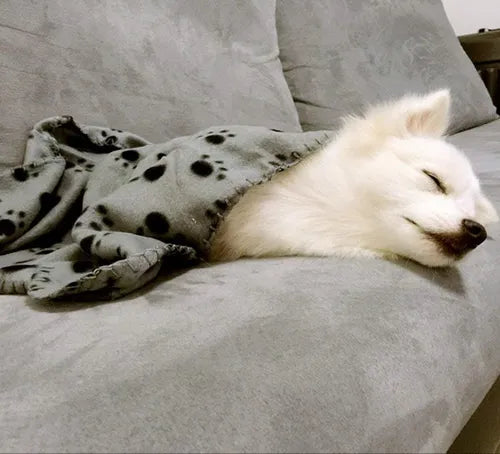 Kit 2 Mantas Soft Cobertor Para Cachorro e Gato CORES SORTIDAS - O Chico Tem