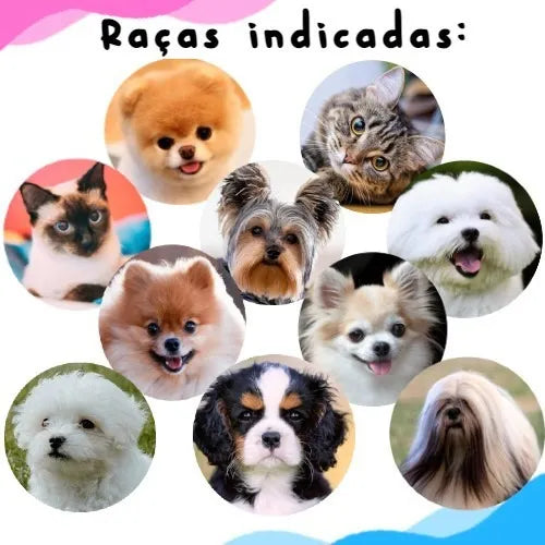 Casinha Toca Tenda para Gatos e Cães 2 em 1 Iglu Impermeável Lavável Pet - O Chico Tem