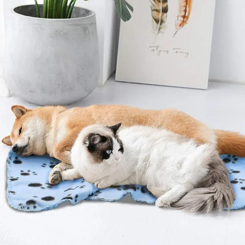 Kit 2 Mantas Soft Cobertor Para Cachorro e Gato CORES SORTIDAS - O Chico Tem