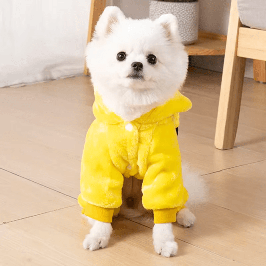 Roupinhas divertidas para PETS - O Chico Tem