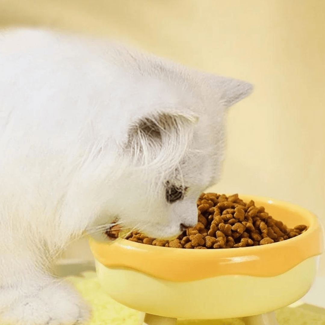 Tigelas para Alimentação com Suporte Elevado - O Chico Tem