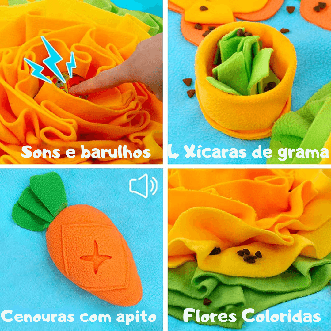 Tapete Interativo com Brinqueos para o seu PET - O Chico Tem