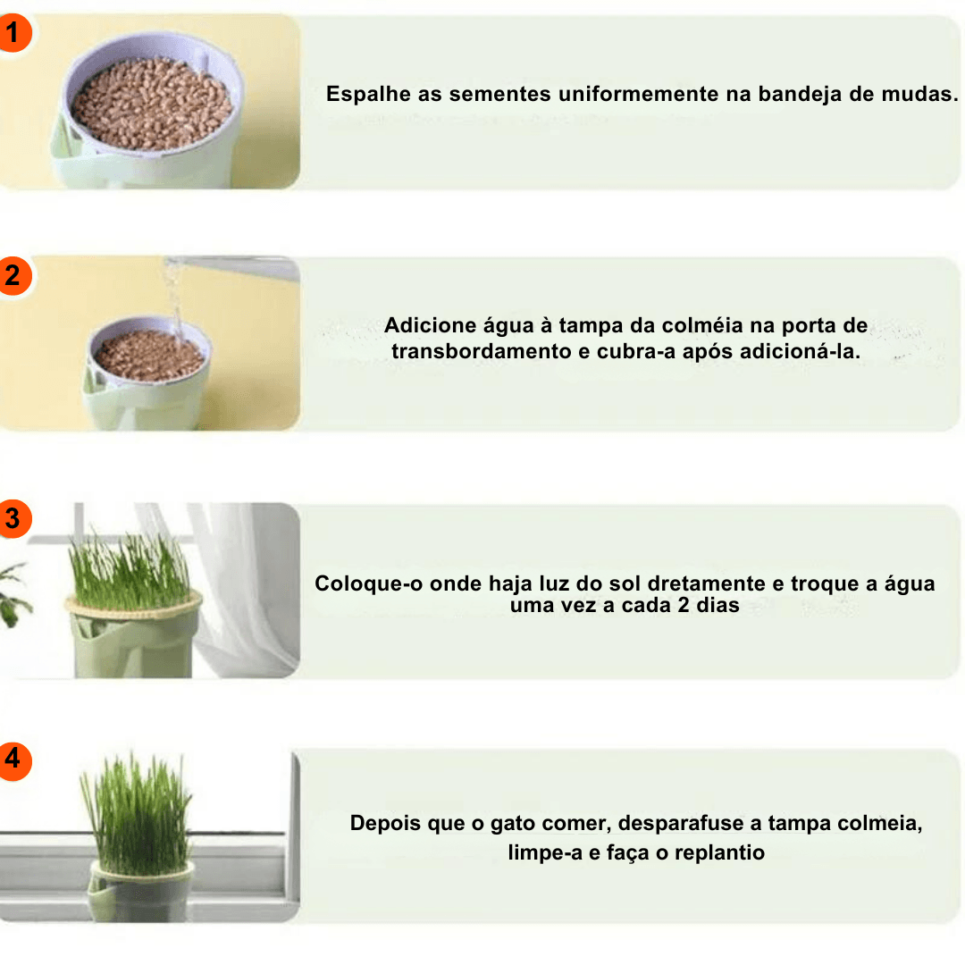 Pote de Cultivo Grama de Gato - O Chico Tem