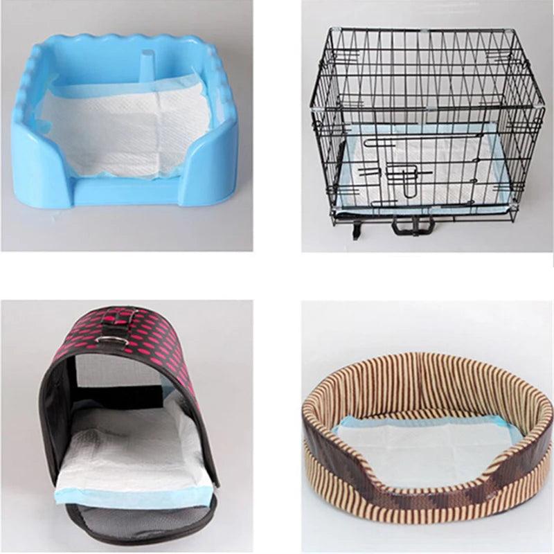 Tapete Super Absorvente Pet - O Chico Tem