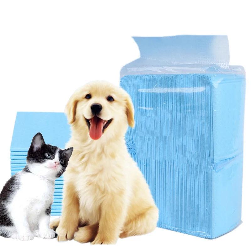 Tapete Super Absorvente Pet - O Chico Tem