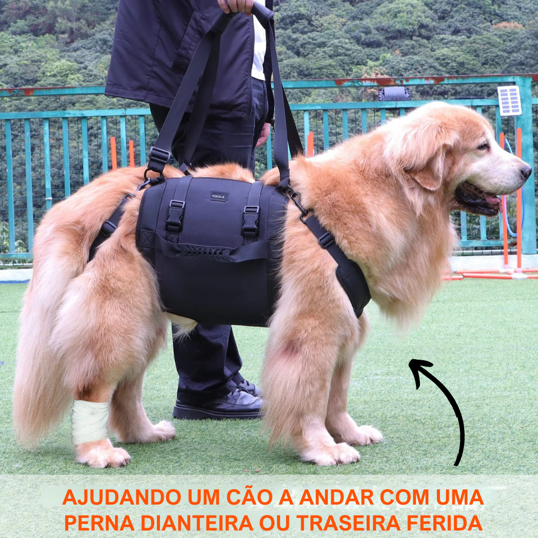 Suporte para Cães grande porte- Mobilidade e Conforto - O Chico Tem