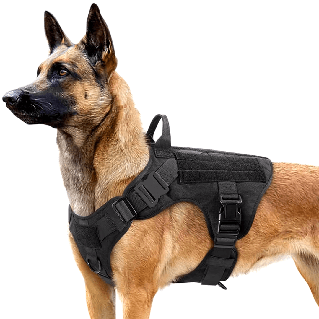 Colete para Cães Maiores - O Chico Tem