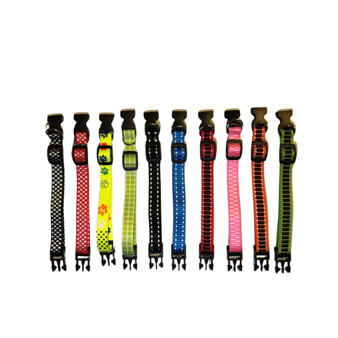 Kit 10 Coleiras Ajustáveis para PETS - O Chico Tem