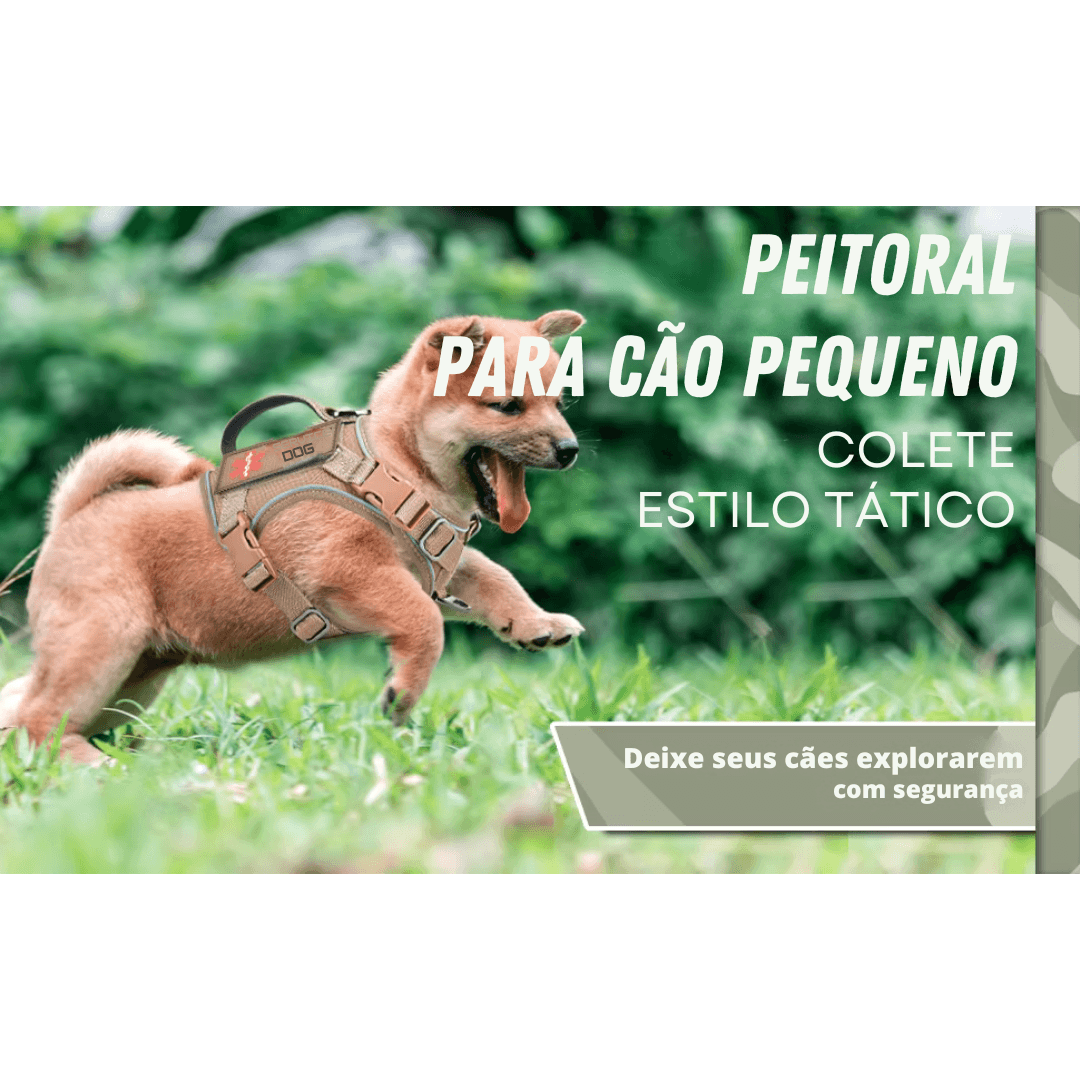 Peitoral Colete para Cães Pequenos - O Chico Tem