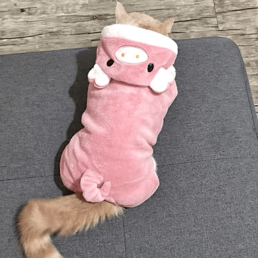 Roupinhas divertidas para PETS - O Chico Tem
