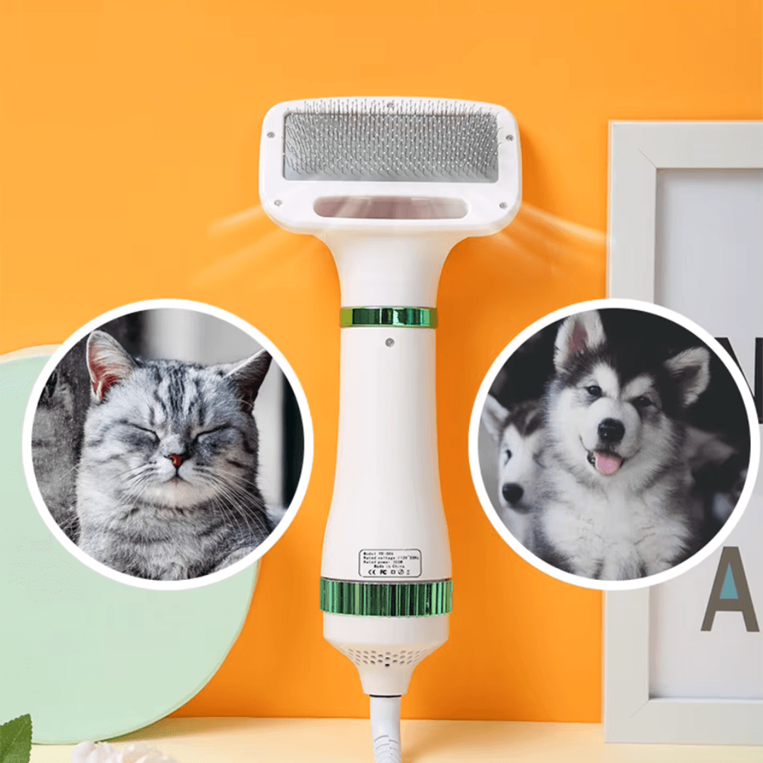 Secador de Pelos para PETS - O Chico Tem