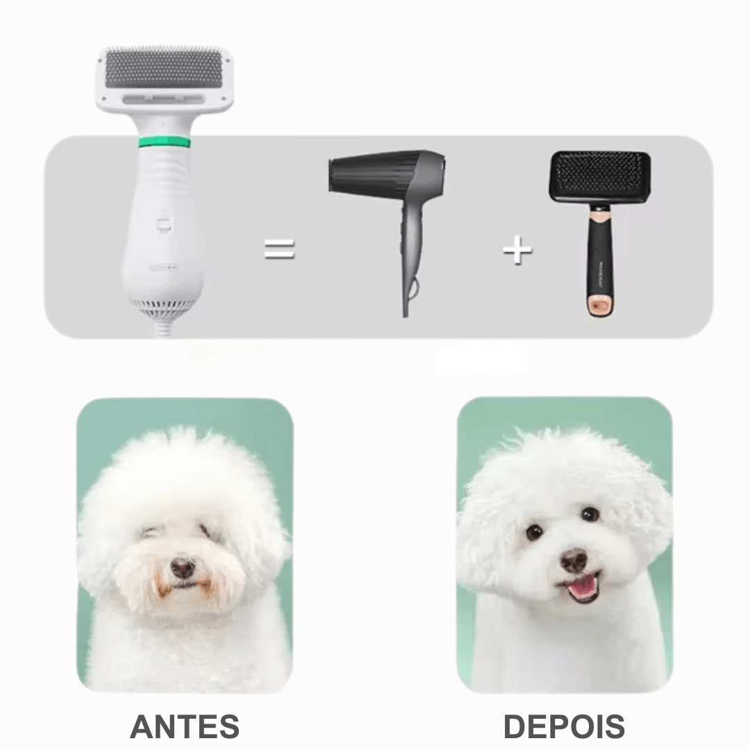 Secador de Pelos para PETS - O Chico Tem