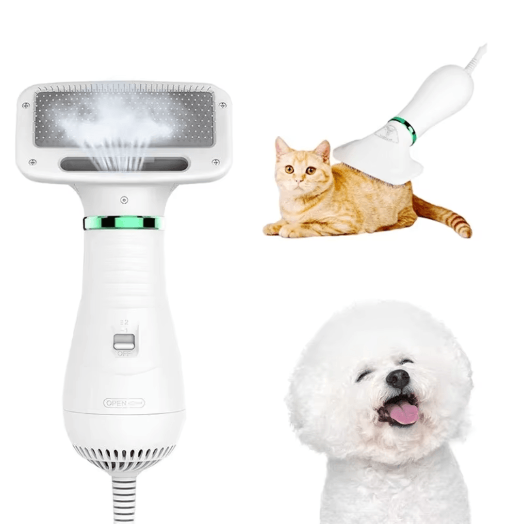Secador de Pelos para PETS - O Chico Tem