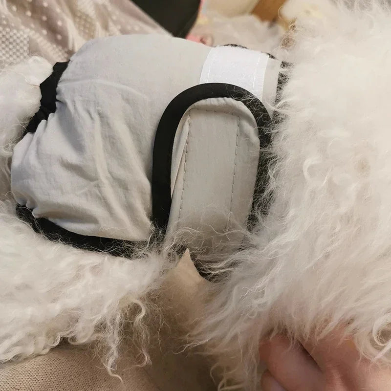 Fraldas Higiênicas Reutilizáveis Laváveis para Cães Pequenos - O Chico Tem