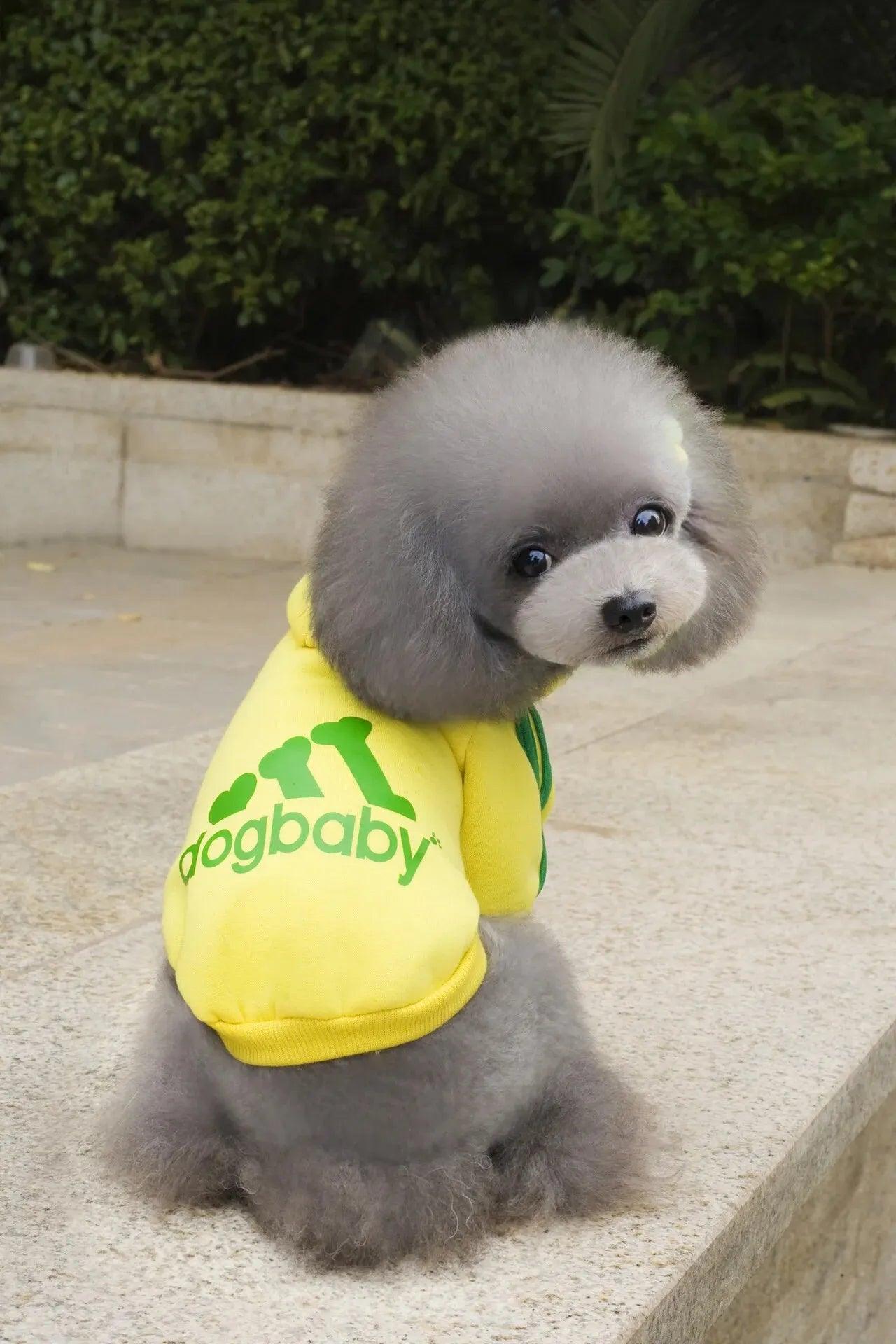 Roupa Para PETS - O Chico Tem