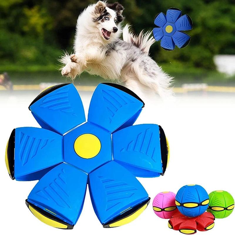 Bola Mágica Interativa para Cachorros - O Chico Tem