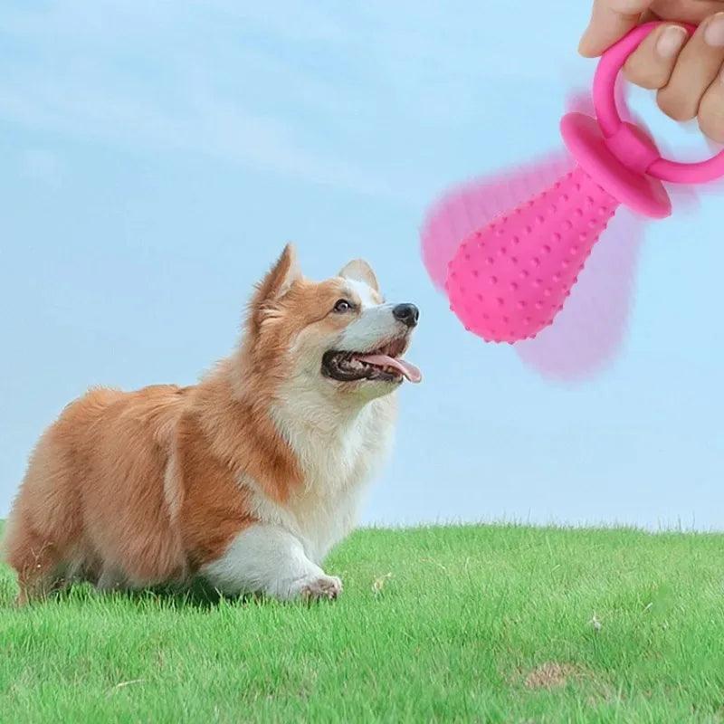 Brinquedos de mastigação para pets - O Chico Tem