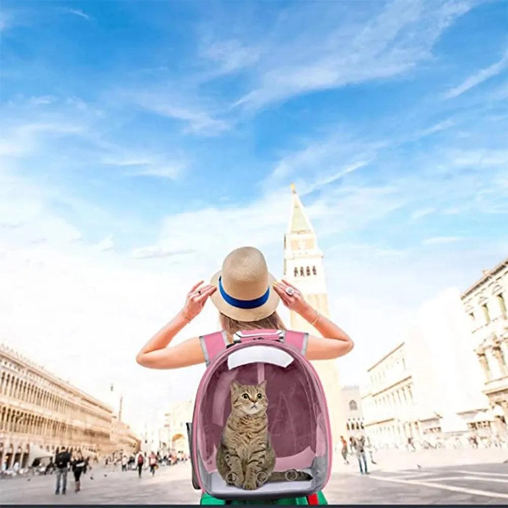 Mochila Transparente para Transporte de Animais - O Chico Tem