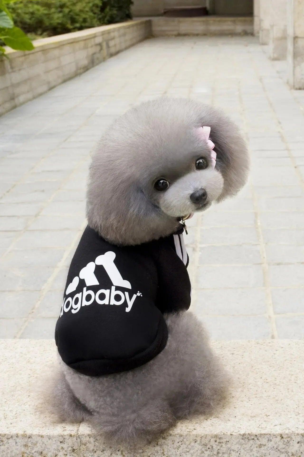 Roupa Para PETS - O Chico Tem