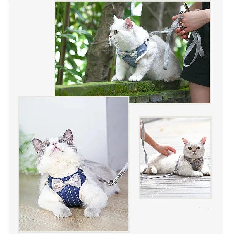 Conjunto Peitoral e Guia para Gatos - O Chico Tem