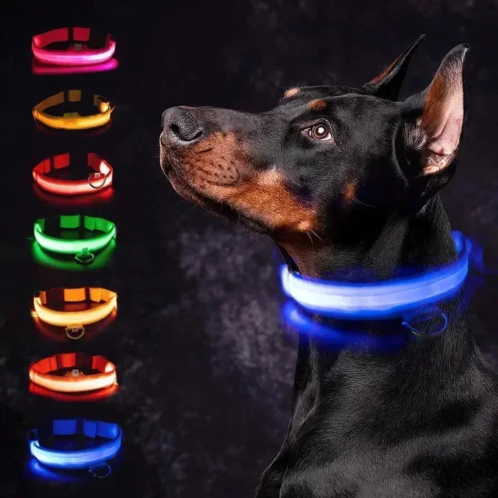 Recarregável LED coleira de cão brilhante, Piscando ajustável, Luminous Collar Luminous, Night Anti-Lost Dog Light Harness, Pequenos produtos Pet