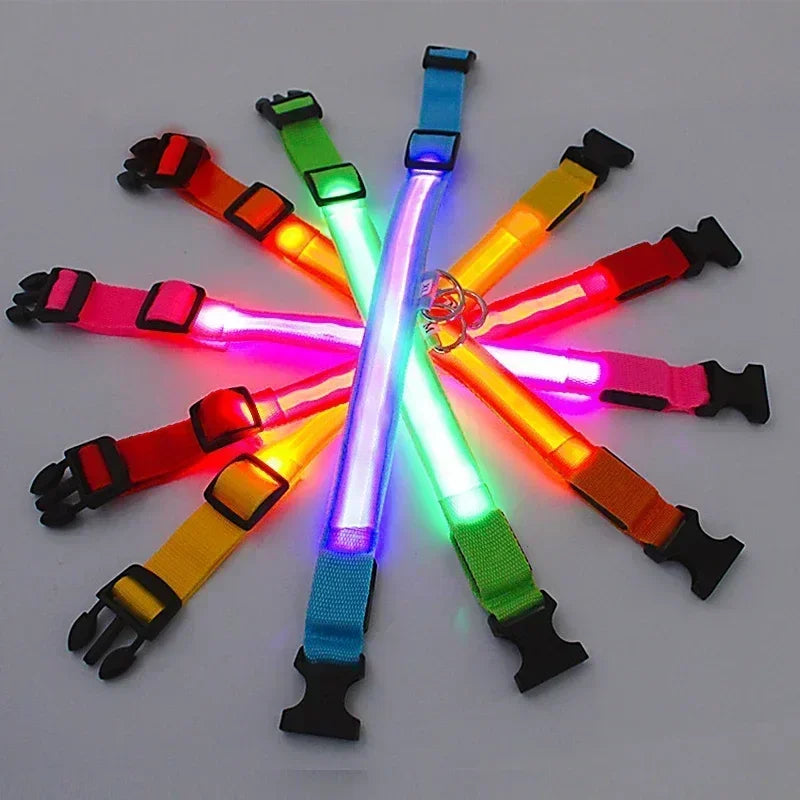 Recarregável LED coleira de cão brilhante, Piscando ajustável, Luminous Collar Luminous, Night Anti-Lost Dog Light Harness, Pequenos produtos Pet