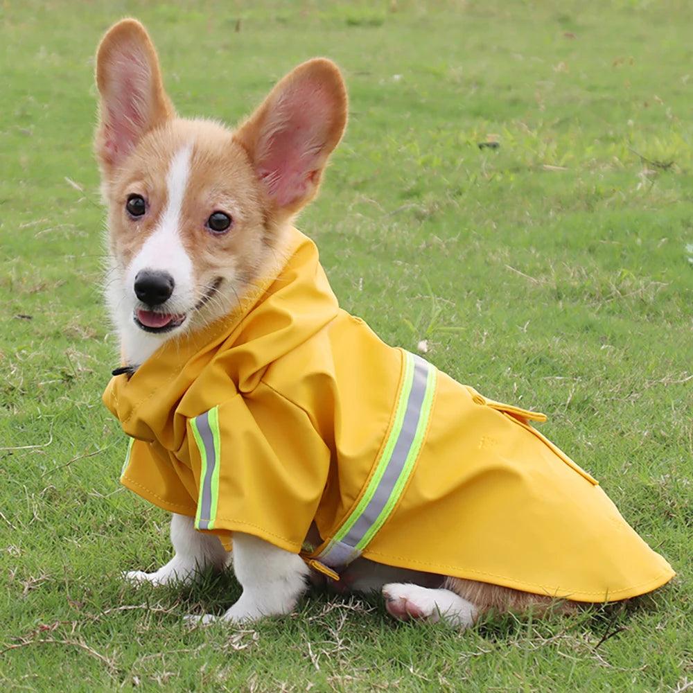 Capa de chuva com capuz para cães - O Chico Tem