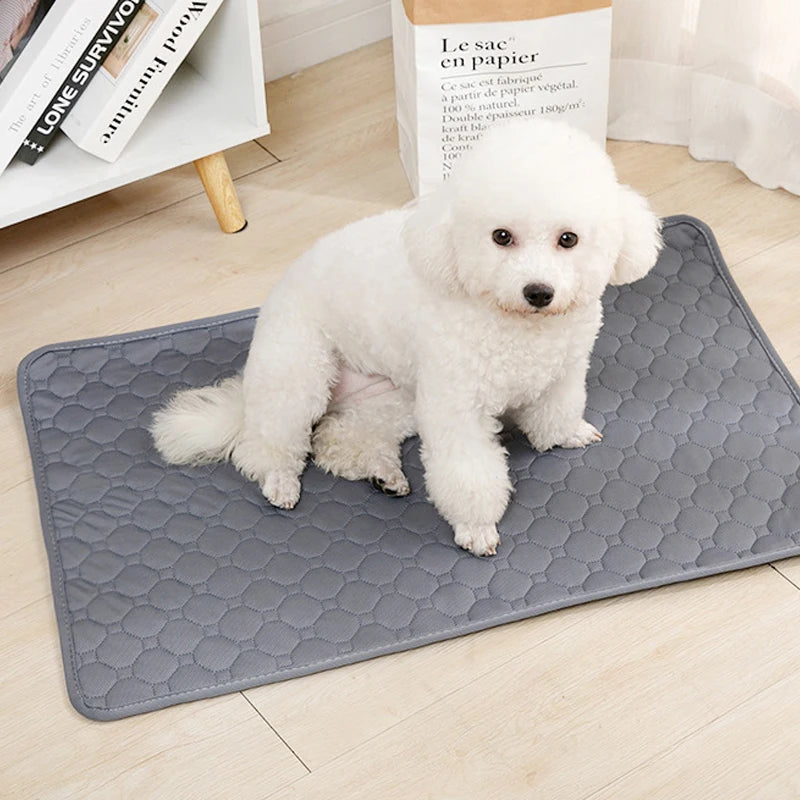 Tapete de Xixi Lavável e Reutilizável para PETS - O Chico Tem