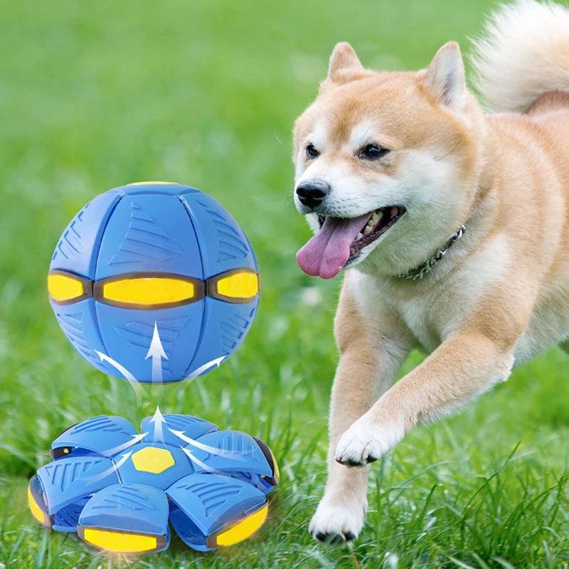 Bola Mágica Interativa para Cachorros - O Chico Tem