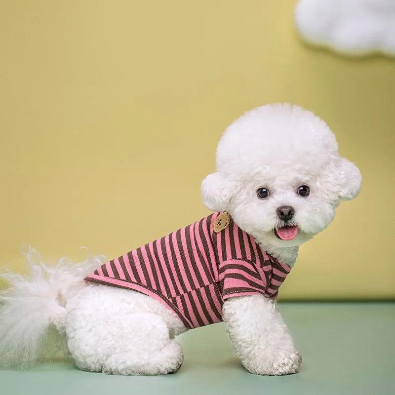 Roupas de verão para pets - O Chico Tem