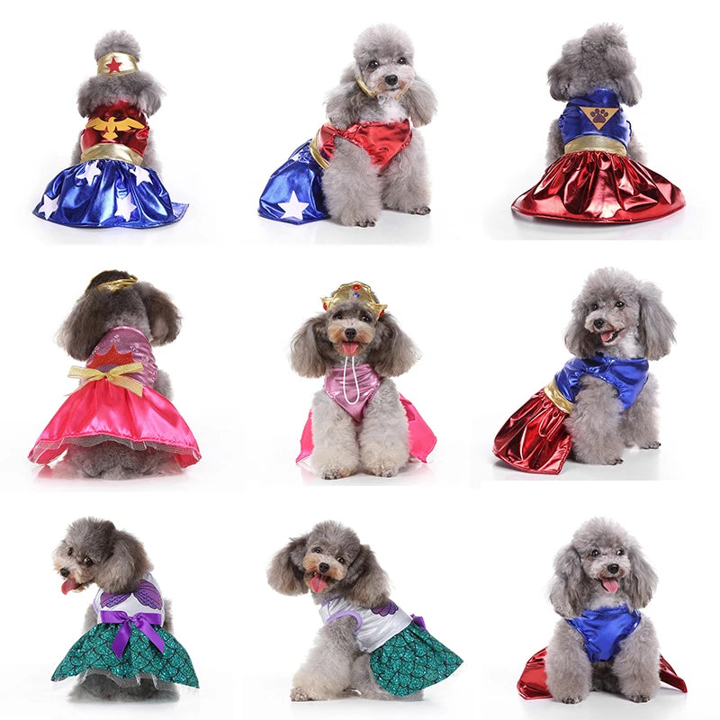Fantasia de Super Heróis para PETS - O Chico Tem