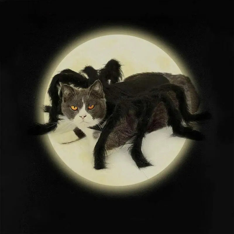 Fantasia de Aranha para PETS - O Chico Tem