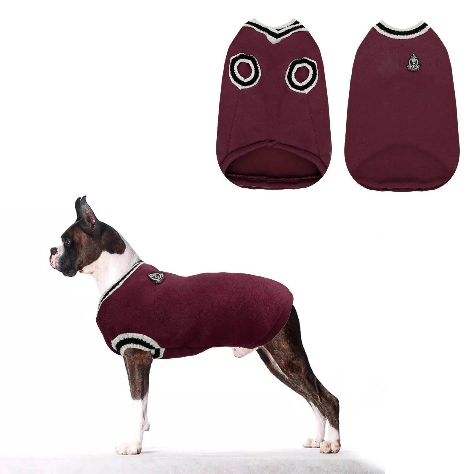 Colete para Cachorro - O Chico Tem