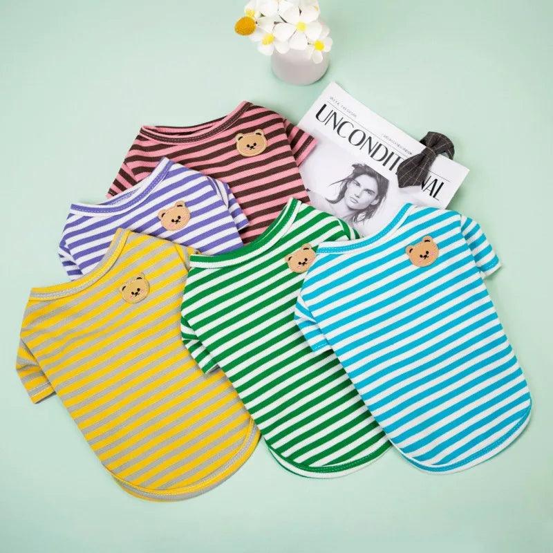 Roupas de verão para pets - O Chico Tem
