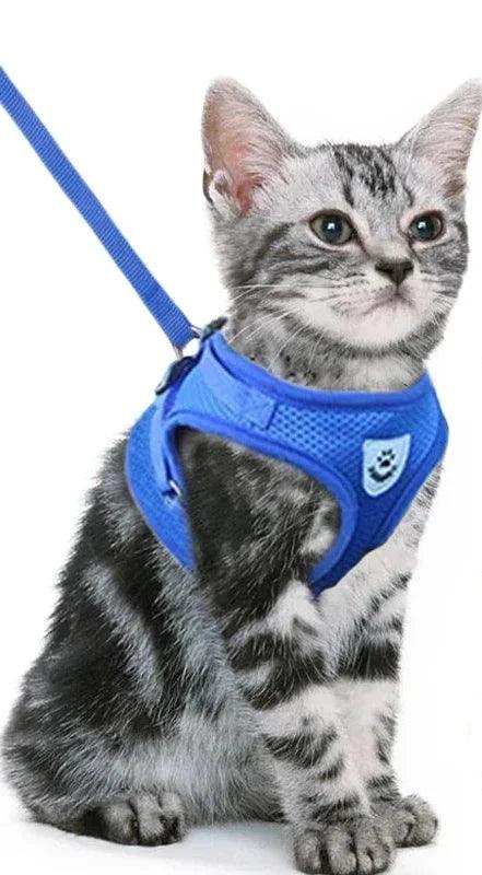 Peitoral para Gatos e Cães Pequenos - O Chico Tem