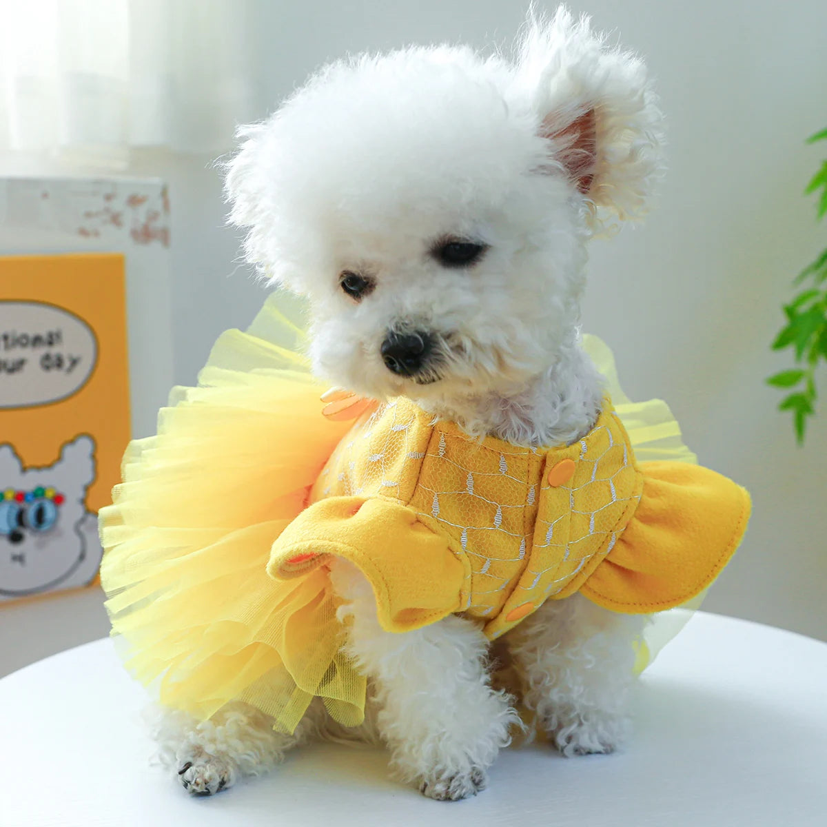 Vestido de Princesa para PET - O Chico Tem
