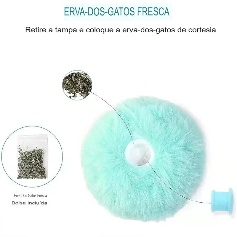 Bola de Brinquedo Interativa de Pelúcia para Gatos - O Chico Tem
