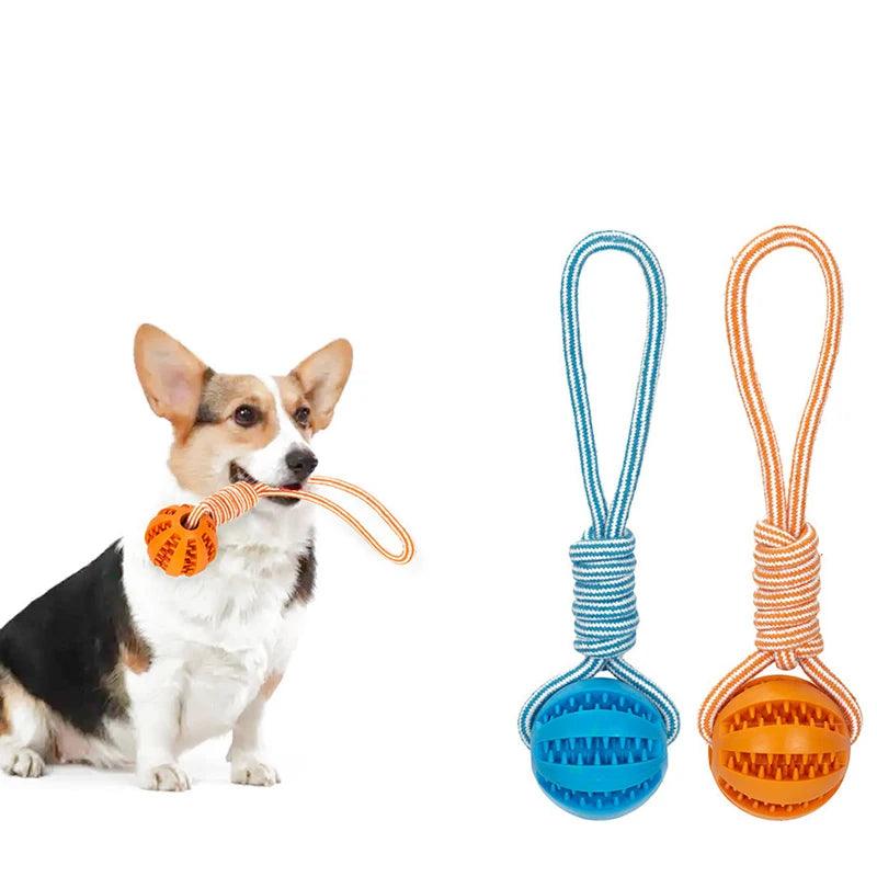 Bola Encaixe Petiscos com Corda para PETS - O Chico Tem