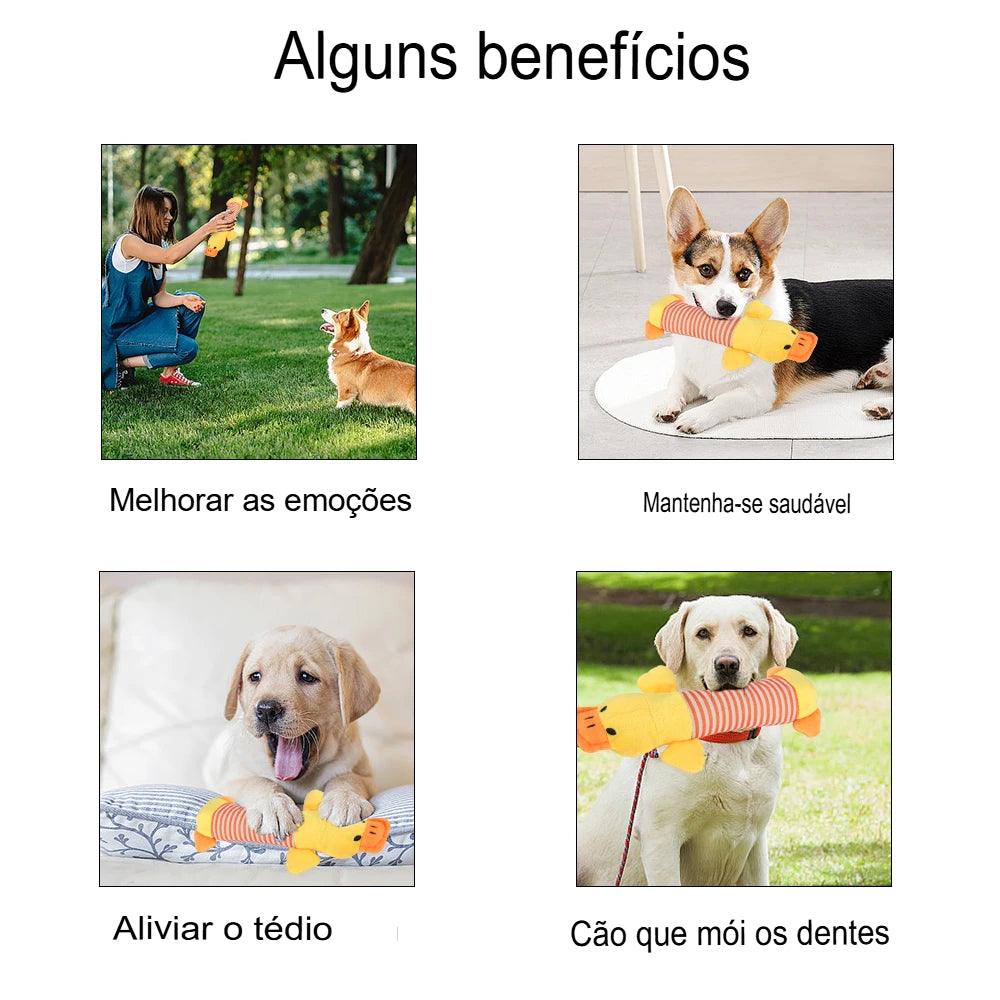 Brinquedos de pelúcia engraçados - O Chico Tem