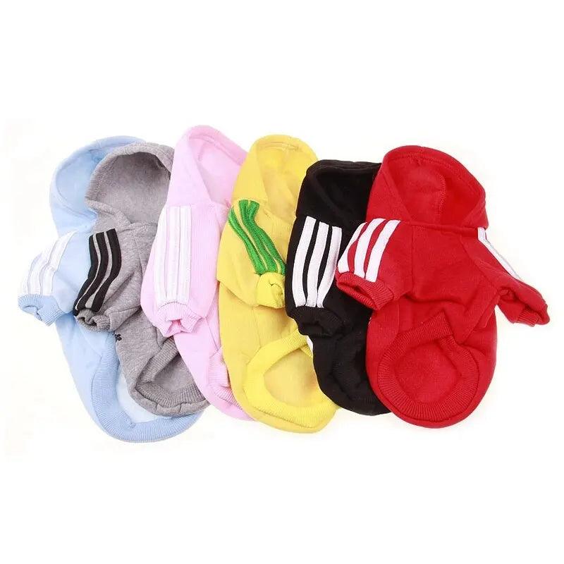 Roupa Para PETS - O Chico Tem