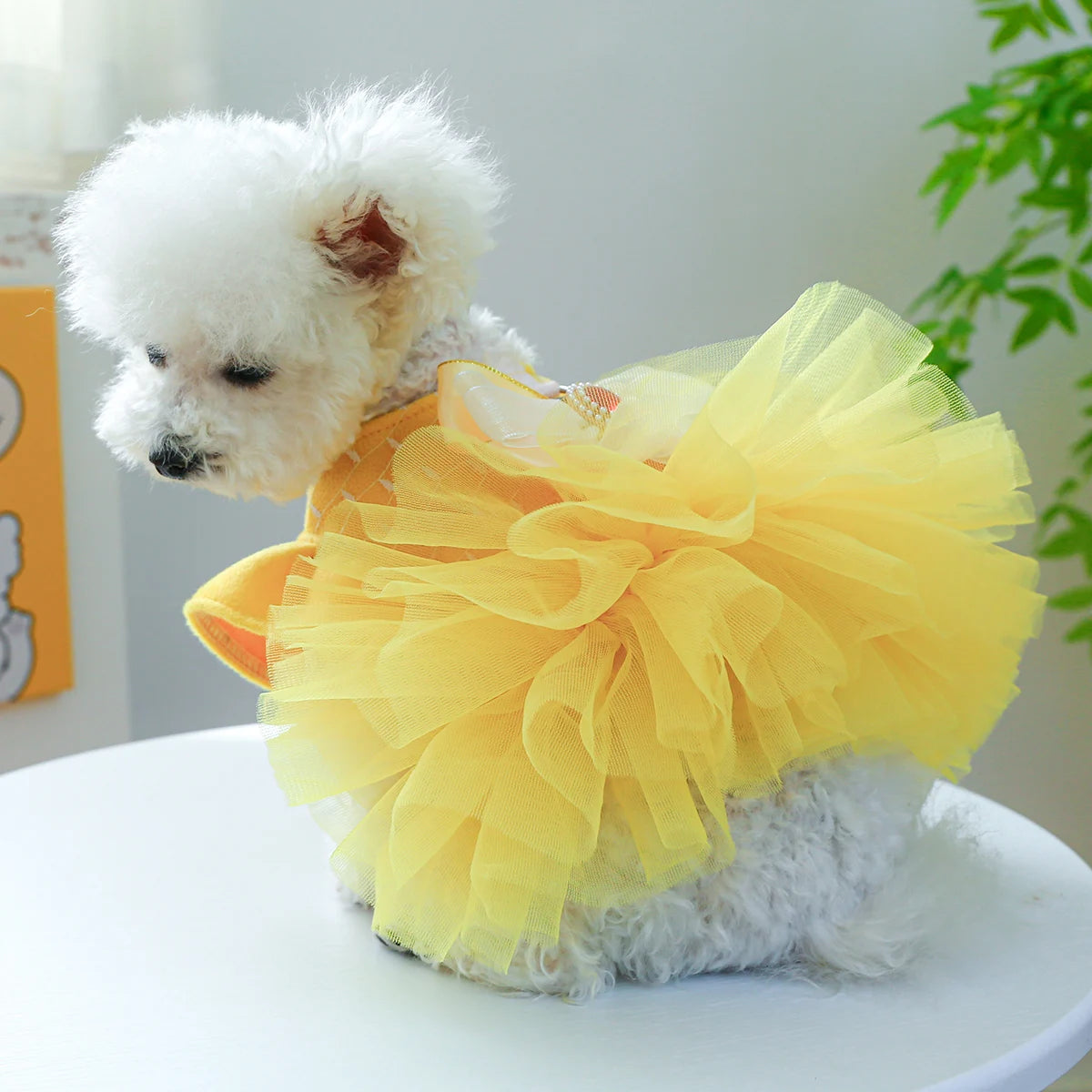 Vestido de Princesa para PET - O Chico Tem
