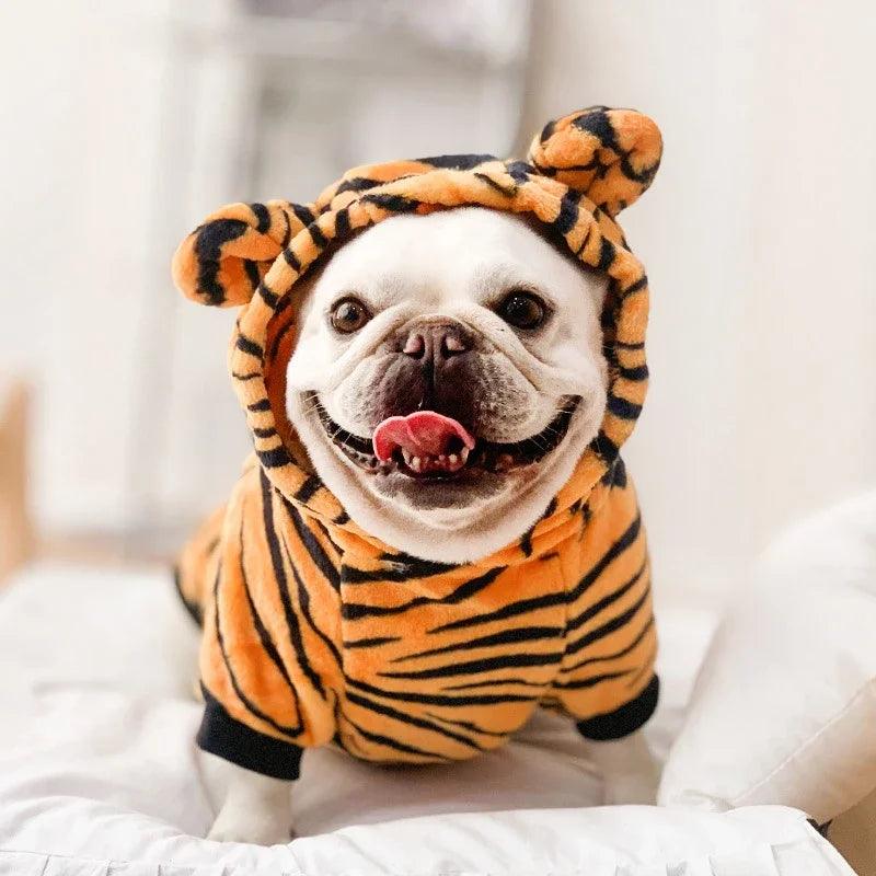 Roupinhas divertidas para PETS - O Chico Tem