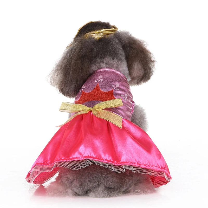 Fantasia de Super Heróis para PETS - O Chico Tem