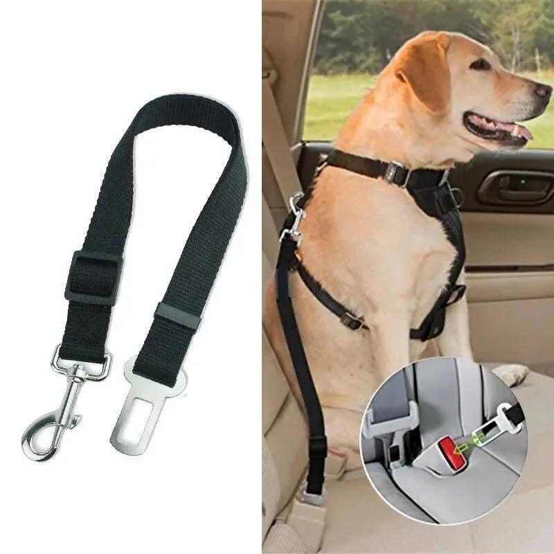 Cinto de Segurança Ajustável Para Pet - O Chico Tem