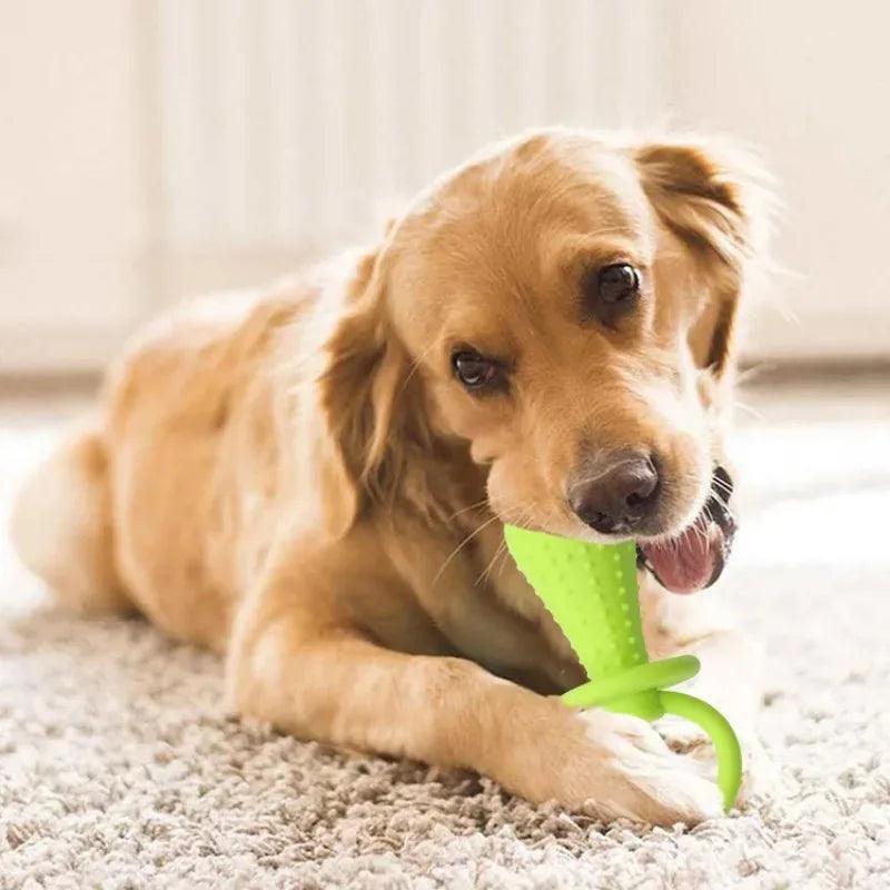 Brinquedos de mastigação para pets - O Chico Tem