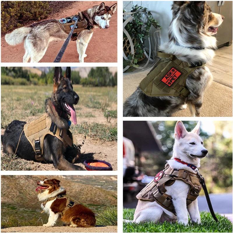 Colete para Cães Maiores - O Chico Tem