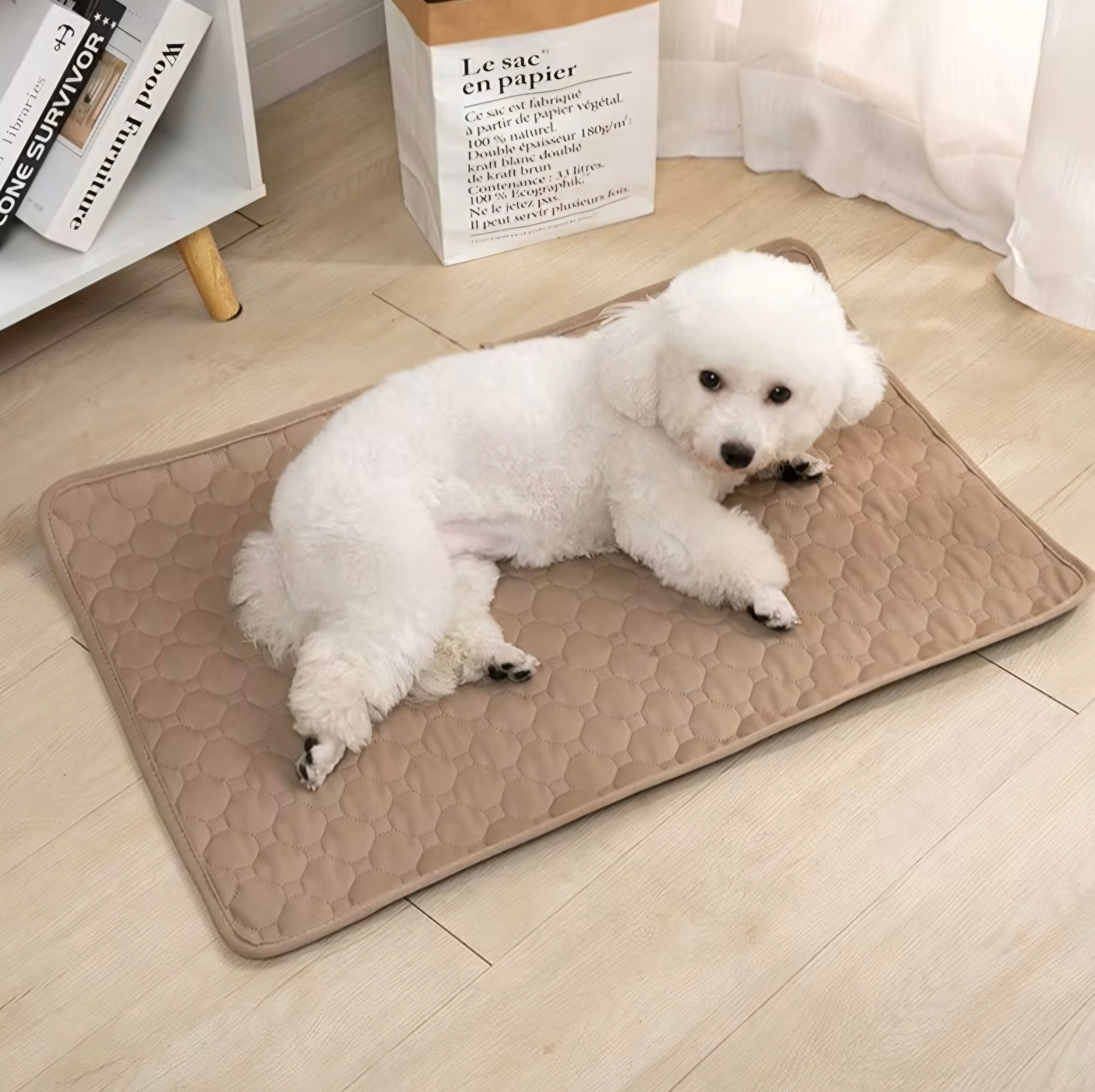 Tapete de Xixi Lavável e Reutilizável para PETS - O Chico Tem