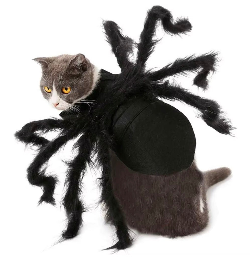 Fantasia de Aranha para PETS - O Chico Tem
