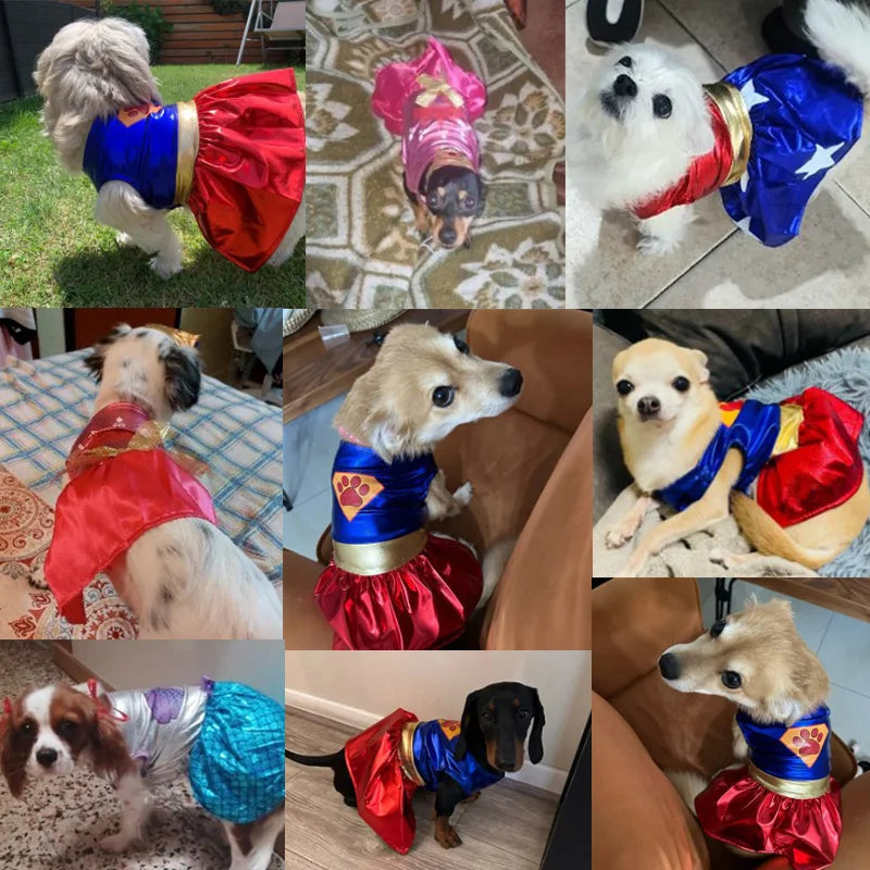 Fantasia de Super Heróis para PETS - O Chico Tem